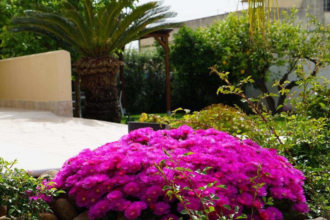 B&B Milena Paceco Exteriér fotografie